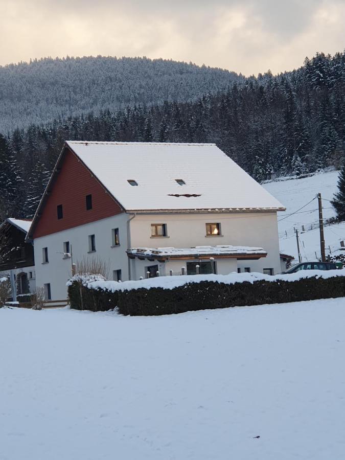 Appart Lievre 4 Etoiles Cornimont Kültér fotó