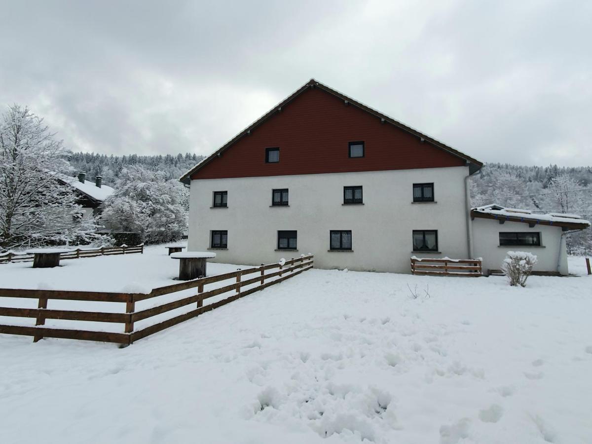 Appart Lievre 4 Etoiles Cornimont Kültér fotó